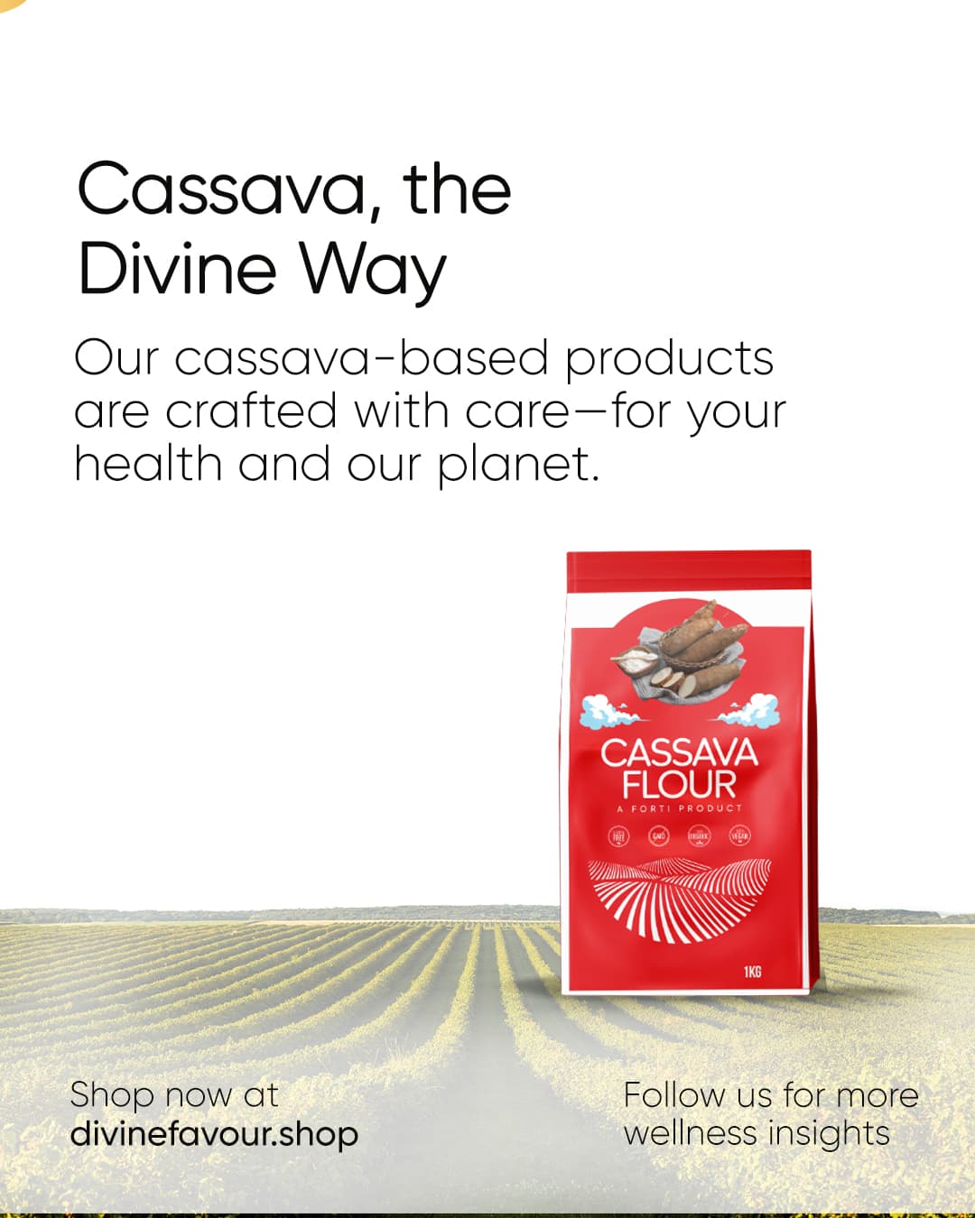 Devine gallery image 7