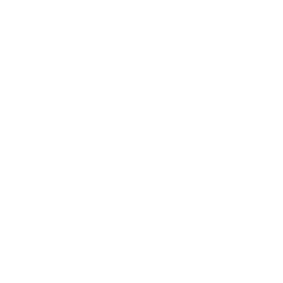 Javvis Logo