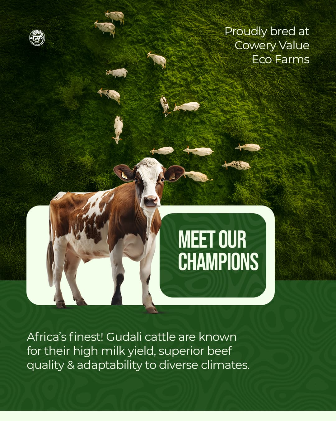 Cowary Farms gallery image 6