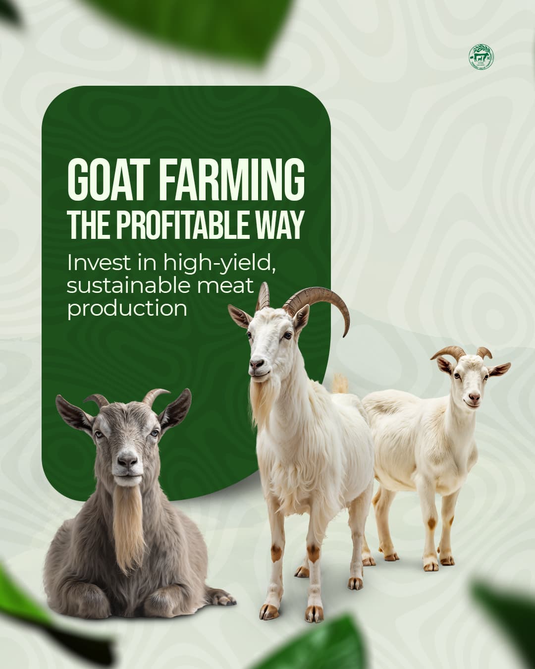 Cowary Farms gallery image 9