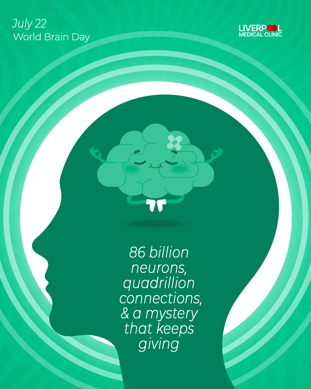 Liverpool gallery image 13